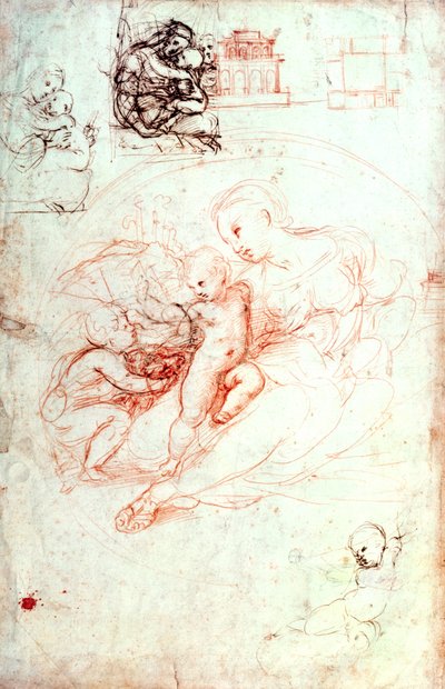 Studio per la Madonna Alba, c.1508-09 da Raffaello Sanzio Raphael